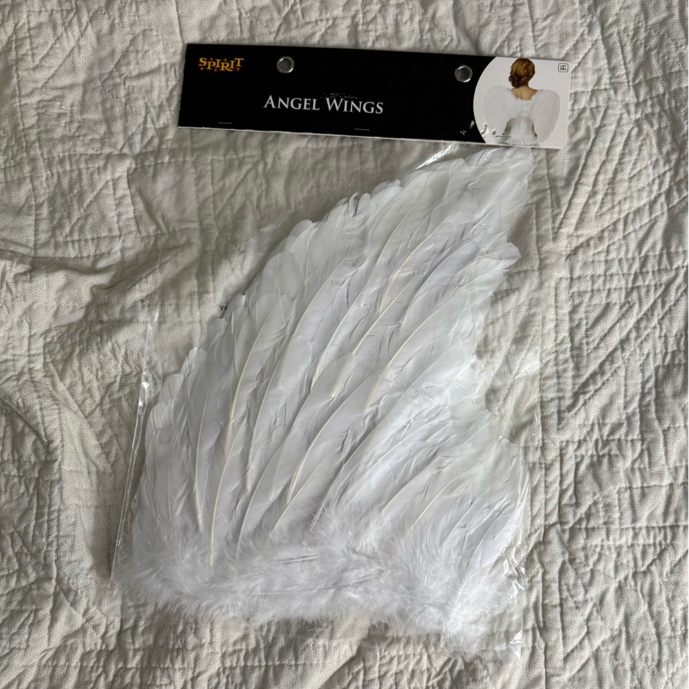 Spirit Halloween angel wings